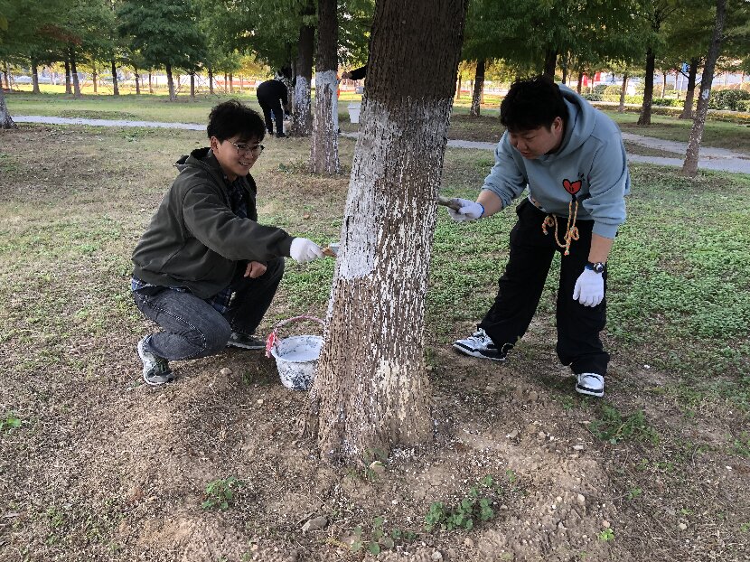 上网2