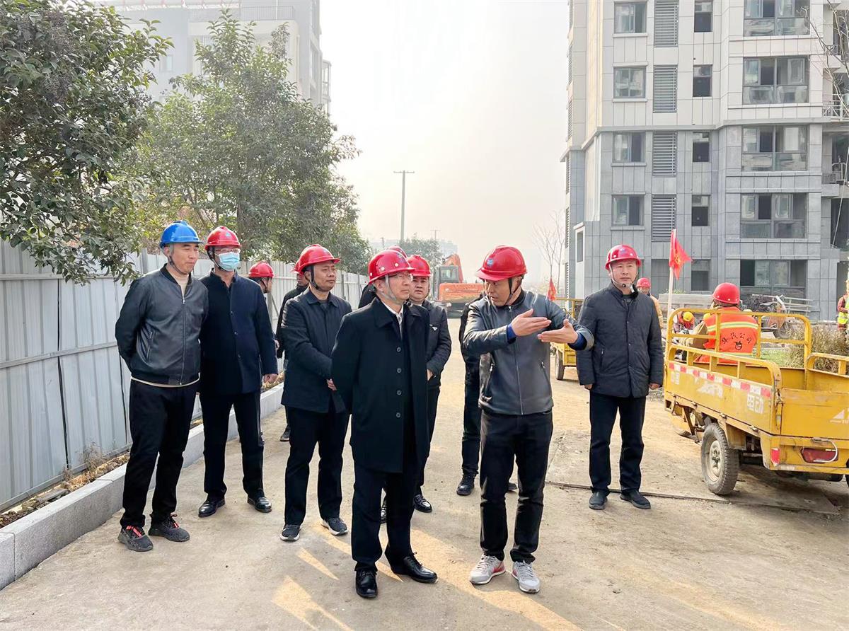 丁锐董事长到房地产调研2.jpg